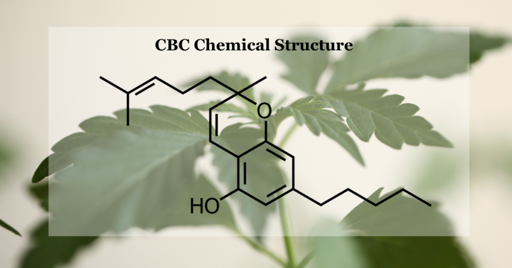 CBC Chemical structure
