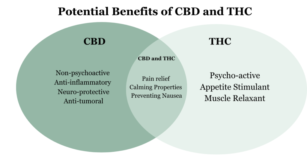 CBD VS. THC venn diagram Potential Benefits